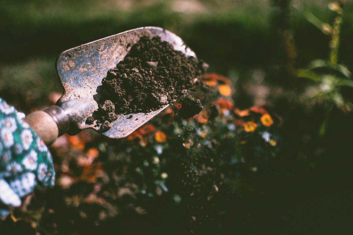 Landscaping Marketing: How to Build a Full Schedule and Keep It